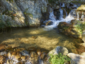 Urlaub-am-Wasser-geniessen_Gasthaus-Oitzl